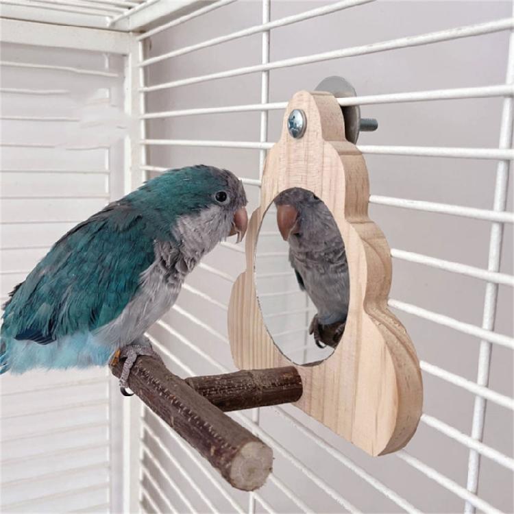 Parrots Playstand Climbing Play Ladder Macaws Play Gym Grinding Ground Stand for Cage Exercise and Amusement