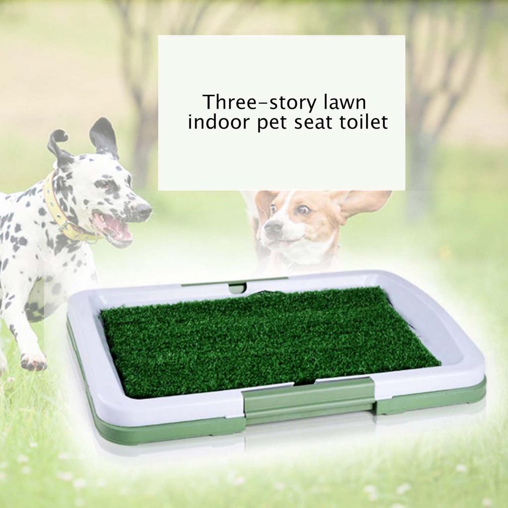 big dog pee tray