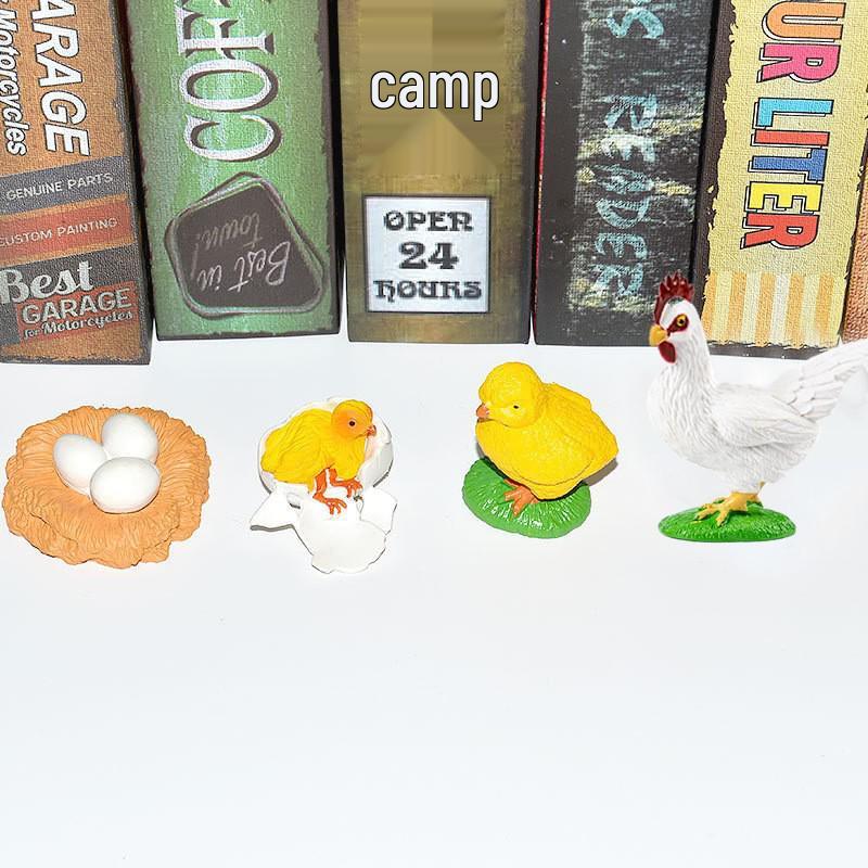 Montessori Plant & Animal Life Cycle Educational Toy Set for Early Learning