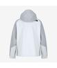 The North Face Nj2Hs02M White Label Foamex 3L Jacket Ice Gray