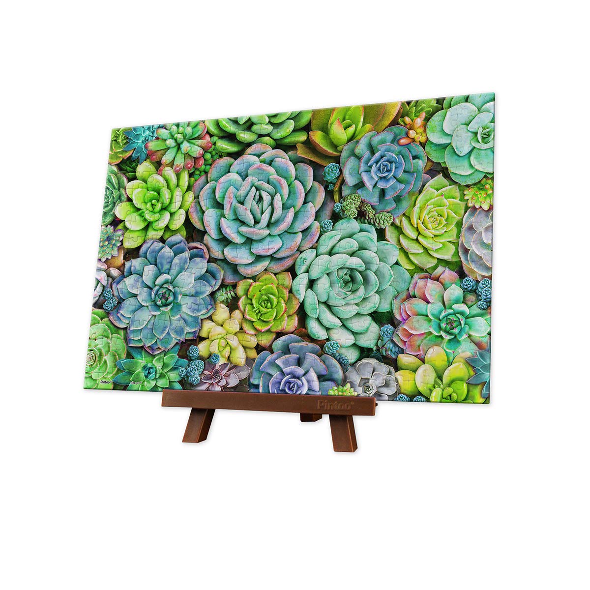 

Pinto 368-Piece Mini Plastic Jigsaw Puzzle Succulent Wall (13x19cm) for Kids and Adults, No Broken Pieces, Clicks into Place [P1432]