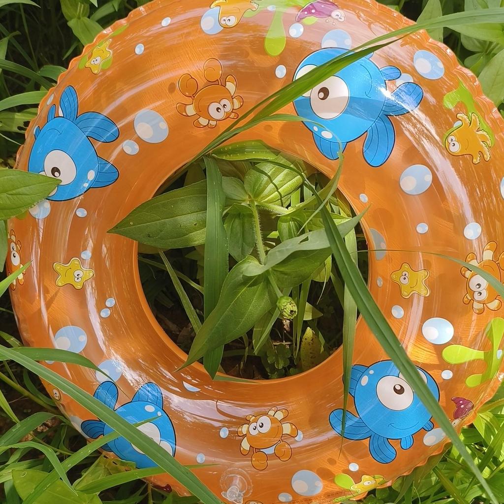 Durable Inflatable Cartoon Swim Ring for Kids & Adults