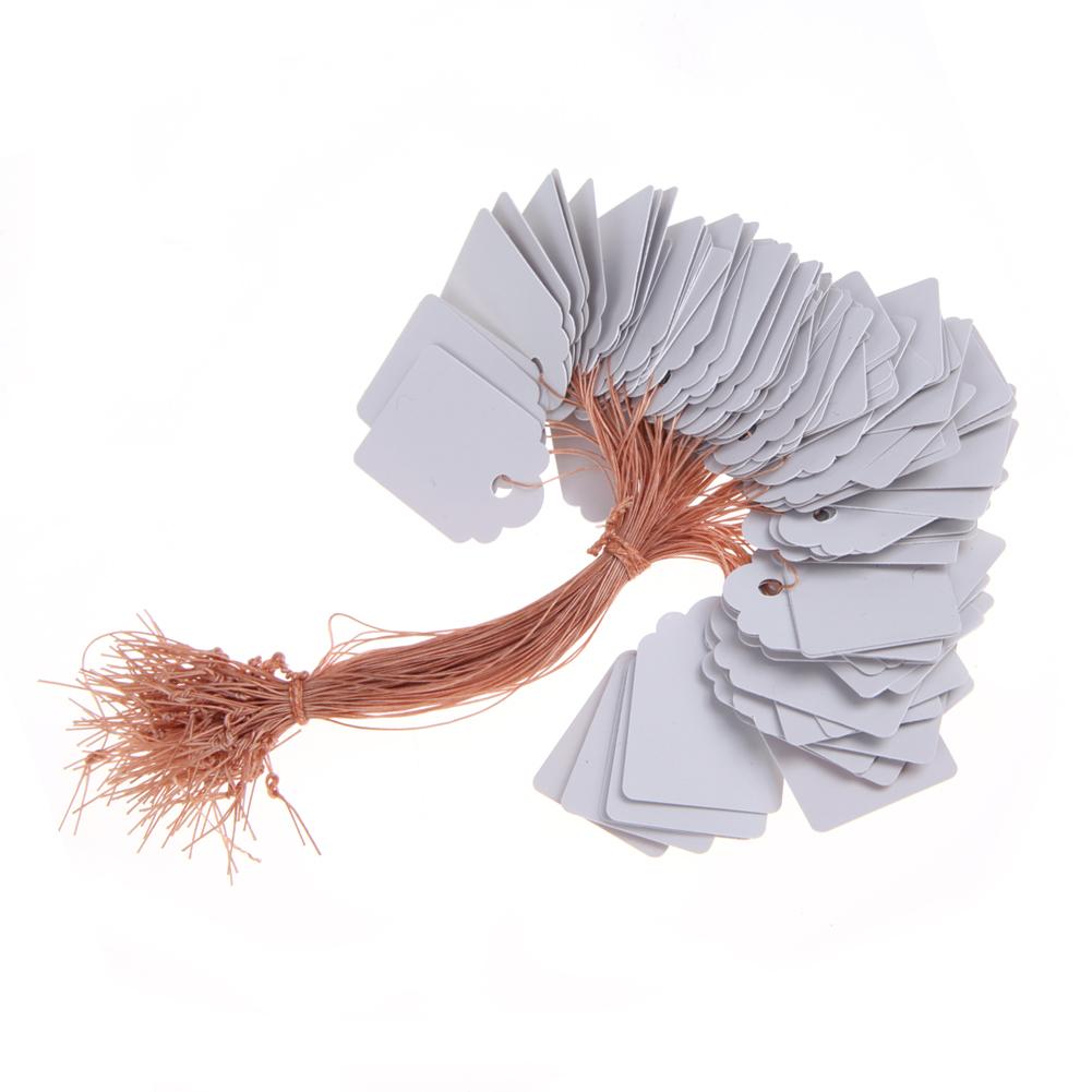 100pcs Garden Plant Labels PVC Nursery Garden Labels Hanging Plant Markers DIY Seedlings Labels for Plants Garden