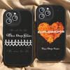 Classic Vintage Three Days Grace Band Phone Case For IPhone 16 15 14 11 12 13 Pro Max Plus Back Leather Shell