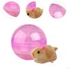 Ball Toys Early Educational Toy Electric Electronic Pets Hamster Montessori for Holiday