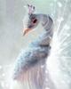 5D DIY Diamond Embroidery Full Set Cross Stitch Peacock Full Square Round Diamond Painting Animal Picture Of Rhinestone Decor For Home