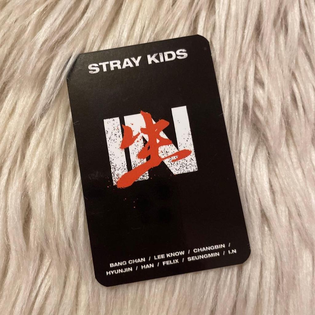 [USED] Stray Kids Felix In Live Withfans 1