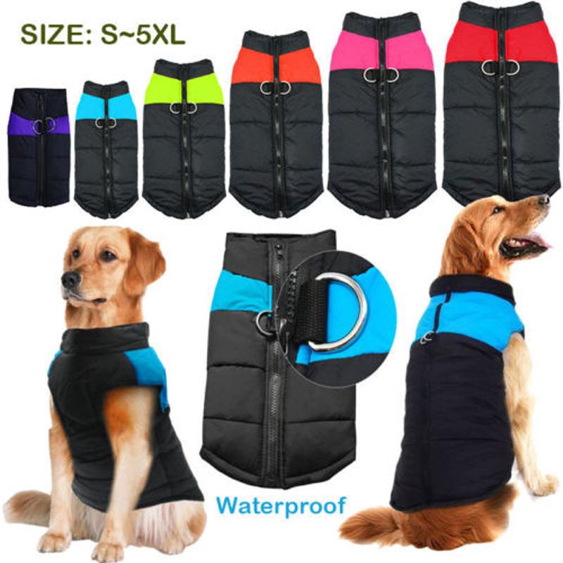 dog waterproof suit