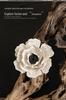 Xichun Handcrafted Ceramic Flower Incense Holder & Aroma Diffuser - Creative Table Ornament Niche Gift