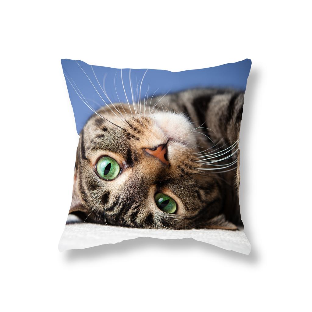 Cute Kitten Throw Pillowcase Sofa Party Decoration Office Game Chair Cushion Cover Room Bedside Home Decor Pillowcase 45x45cm
