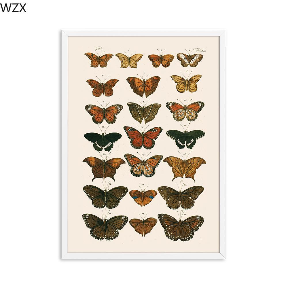 

Античная бабочка, винтажные постеры, принты, насекомые, природа, образование, настенное искусство, холст, настенная живопись, картина для детской комнаты, домашний декор 21x30cm No Framed