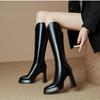 Temperament Block Heel Rear Zipper Anti-Slip Wear-Resistant High Boots Fashion Pointed Toe Platform Single Boots