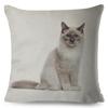Cute Cat Pillowcase Decor Lovely Pet Animal Print Cojines Cushion Cover Polyester Pillow Case for Home Sofa Children Room 45x45