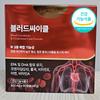 Medisial Bloodcycle 800mg 60 Capsules 1 Box