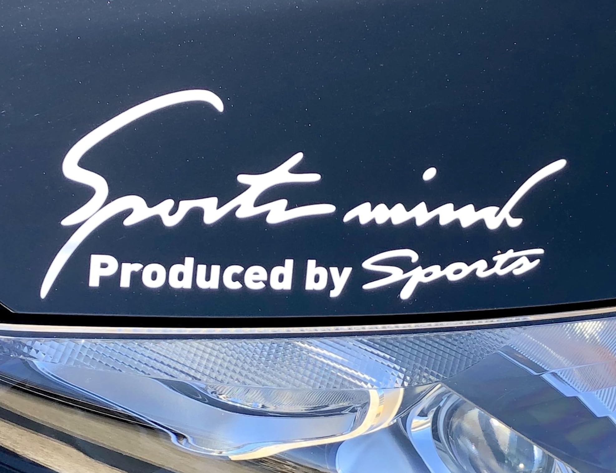 

Sports mind Car Bike Sticker Decal Seal General Purpose Side SS size 14×4.8cm белый