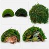 Reptile Hideout House Terrarium Tank Hamster Shelter Tortoise Basking Platform Turtle Habitat Cave Gecko Coconut Lizard farm