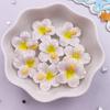20 PZ Resina Kawaii 3D Colorato Dipinto Fiori di Pesco Flatback Fiore Pietra Scrapbook Figurine Fai da Te Fiocco Decor Accessori Artigianato