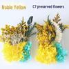 Kit DIY Fleur Éternelle: Cadre photo de fleurs séchées, éventail rond, bouteille flottante, composition florale réelle pour la décoration du salon ou de la maternelle.