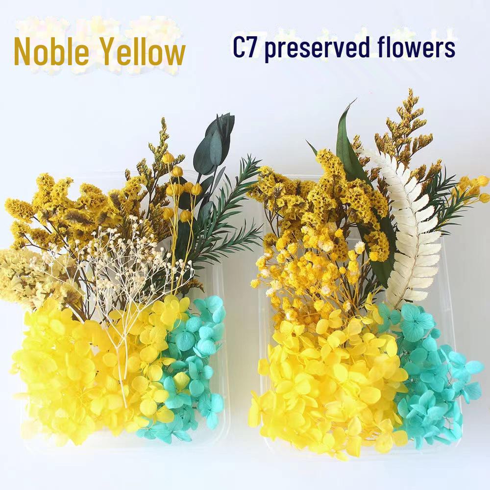Kit DIY Fleur Éternelle: Cadre photo de fleurs séchées, éventail rond, bouteille flottante, composition florale réelle pour la décoration du salon ou de la maternelle.