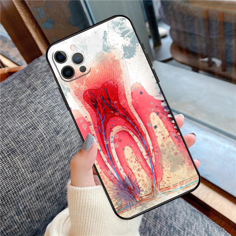 Human Tooth Anatomy Phone Case For iPhone 16 15 14 12 11 13 Pro Max 12 13 Mini XR 15 16 Plus 16e Cover Shell