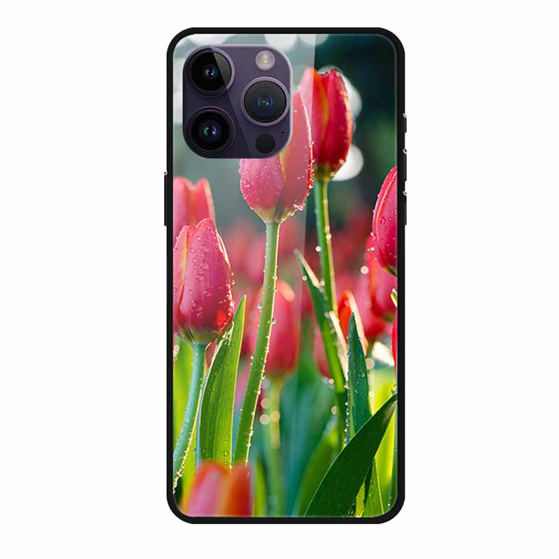 Tempered Glass Case For iphone 15 Pro Max Case Hard Glass Back Cover Soft TPU Bumper For iphone 16 Pro Max Phone Case 16Pro Max