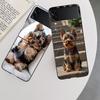 Yorkshire Terrier Dog Phone Case For Samsung Z Flip 7 6 5G Galaxy Z Flip 5 4 3 Black Hard Cell Cover Luxury PC Shell Coque