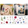 1 Pack Dried Flowers Decoration Embossing Flowers Handmade Flower Material Natural Dry Flowers Candle For Making Crafts Nail Art Decoration