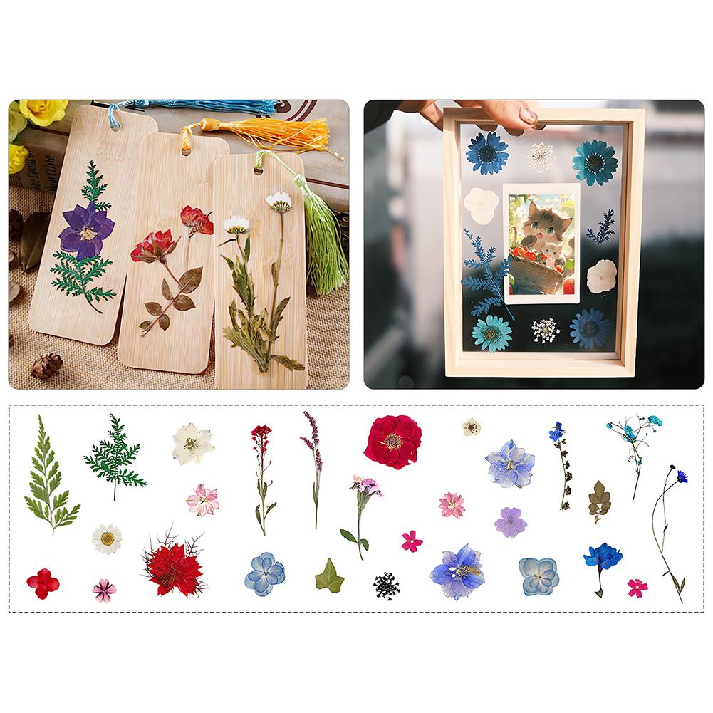 1 Pack Dried Flowers Decoration Embossing Flowers Handmade Flower Material Natural Dry Flowers Candle For Making Crafts Nail Art Decoration