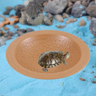 Aquatic Reptile Pool, Tortoise Dish, Terrarium Plate, Water Bowl for Bearded Dragons and Geckos