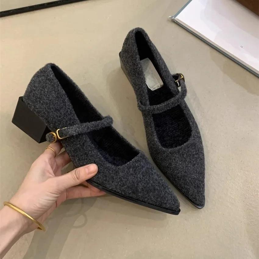Fashion Pointed Single Shoe Women's Spring New Style French Thick Heel Shallow Mouth Shoes Elegant Low Heel Women's Shoes