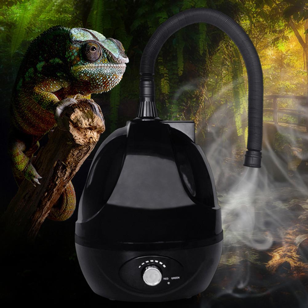 chameleon humidifier