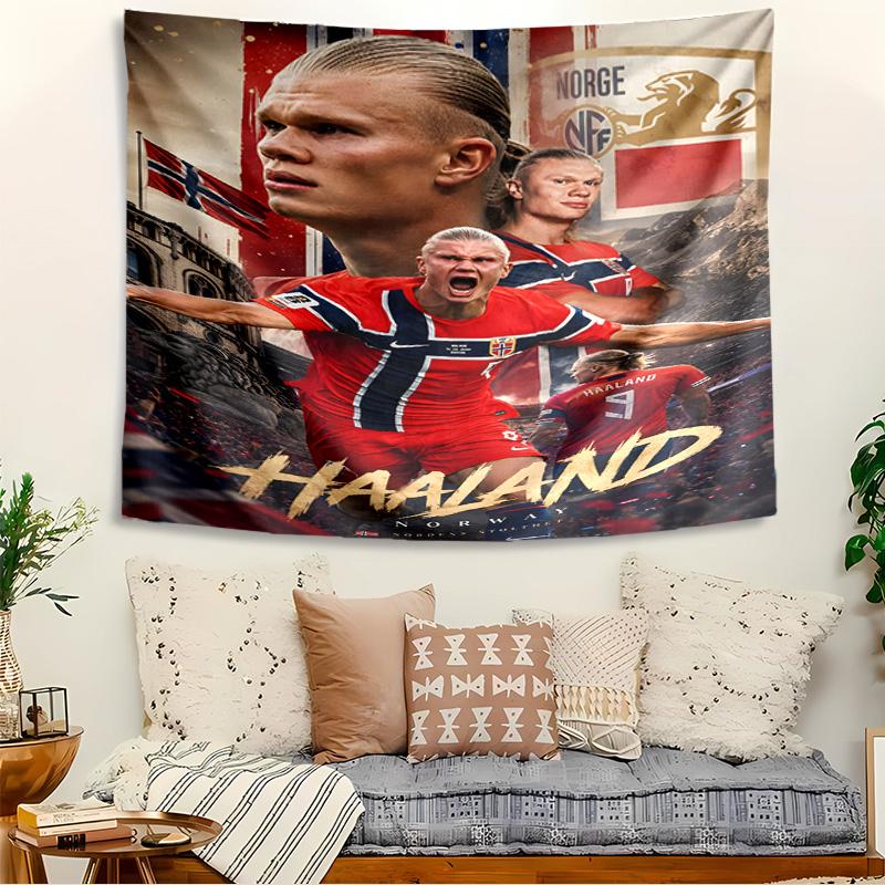 Haaland Tapestry, Wall Hanging Tapestry, Pattern Tapestry for Dorm Bedroom Living Room Wall Art Photography Backdrop