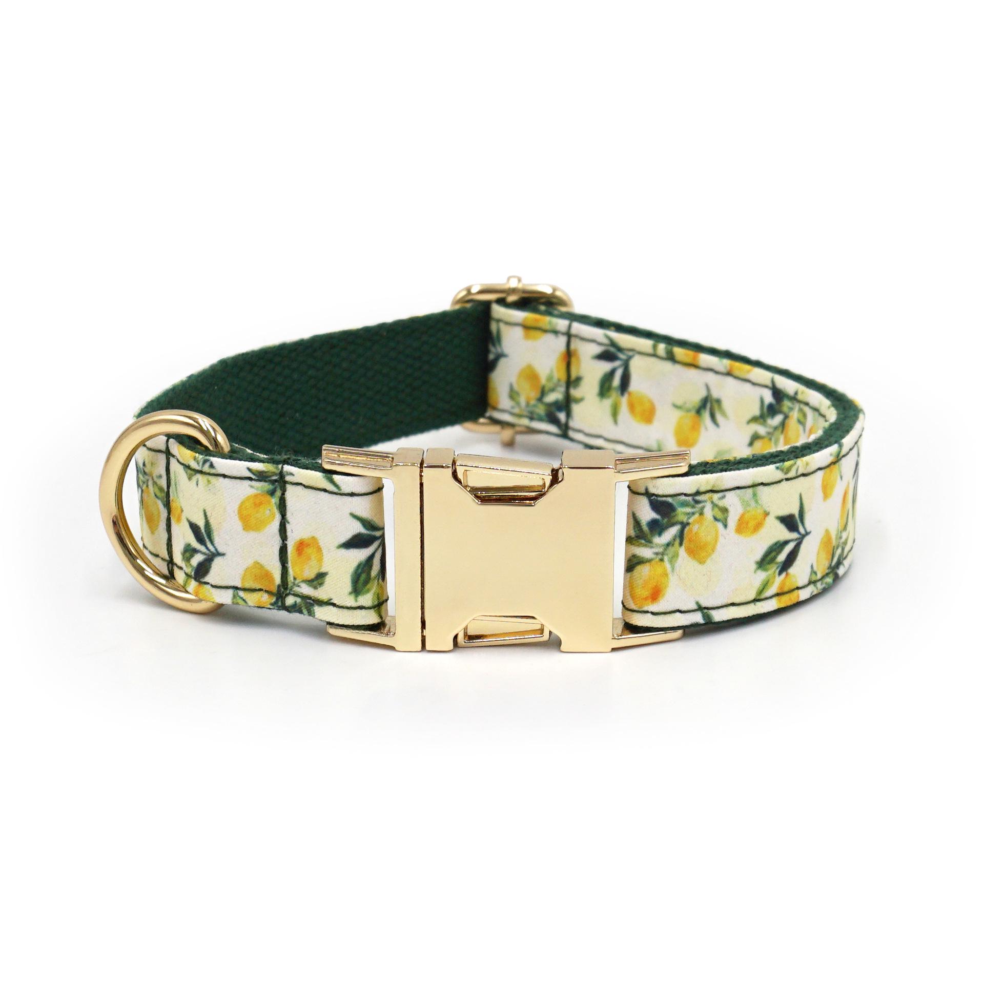 Adjustable Cute Fruit & Flower Print Dog Collar Extra Large