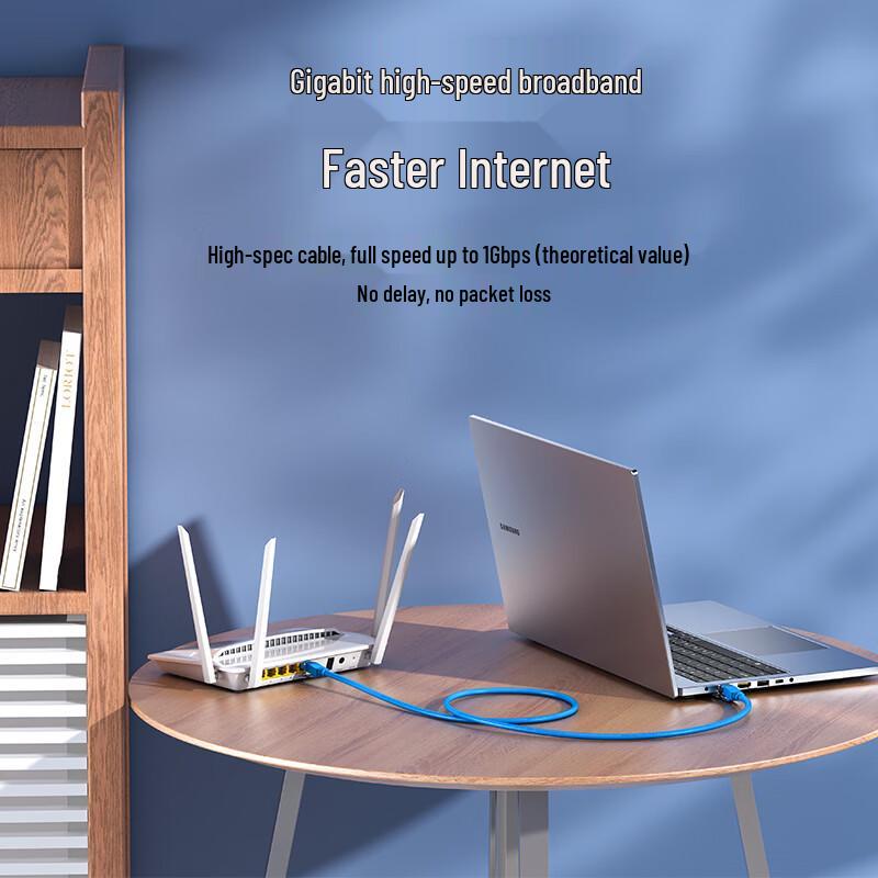 Shengwei CAT6 Ethernet Patch Cable