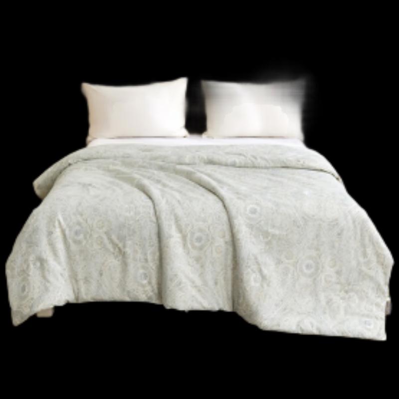 

Yilian Australian Wool Antibacterial Quilt
