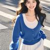 Blue Fake Two Piece Knit Top Women Autumn Winter Beautiful Sweater