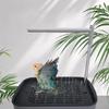 Automatic Bird Bathtub with Running Water USB Electric Bird Shower Box for Lovebird Ferret Cockatiel Bird Supplies