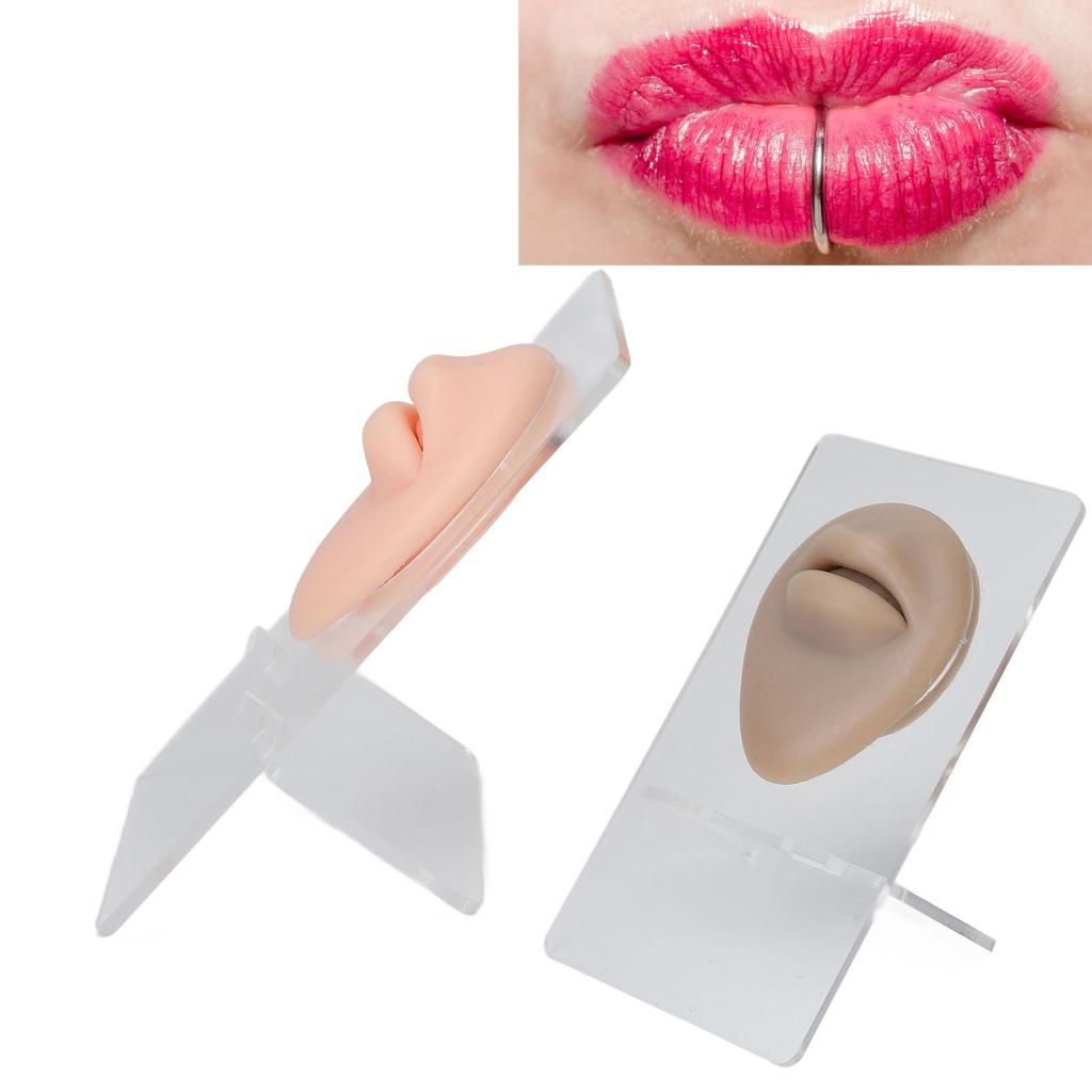 2Pcs Silicone Lip Model With Display Stand Simulated 3D Thickened Lip Piercing Practice Model