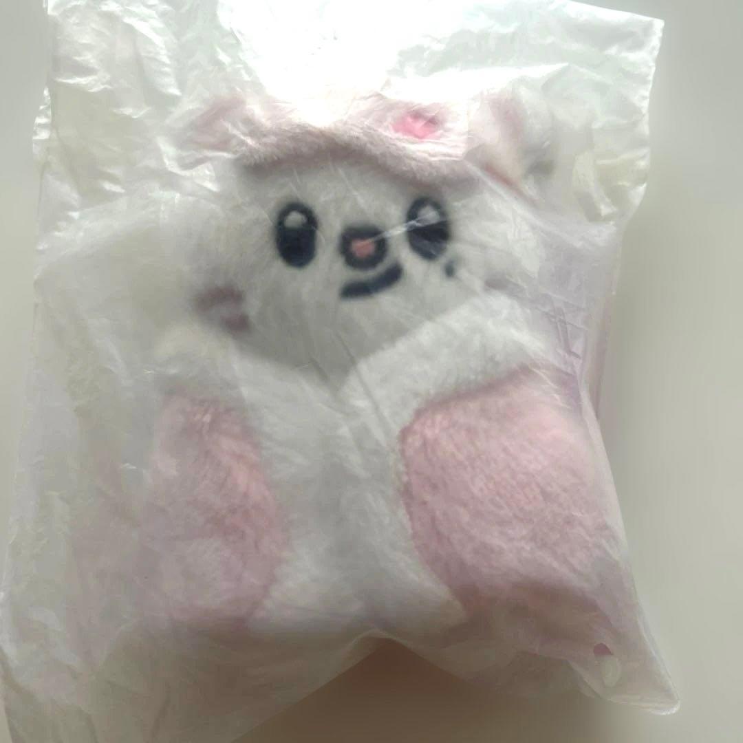 

[USED] Stray Kids Korea Fan Meeting SKZOO 10cm Plush Toy Genielet
