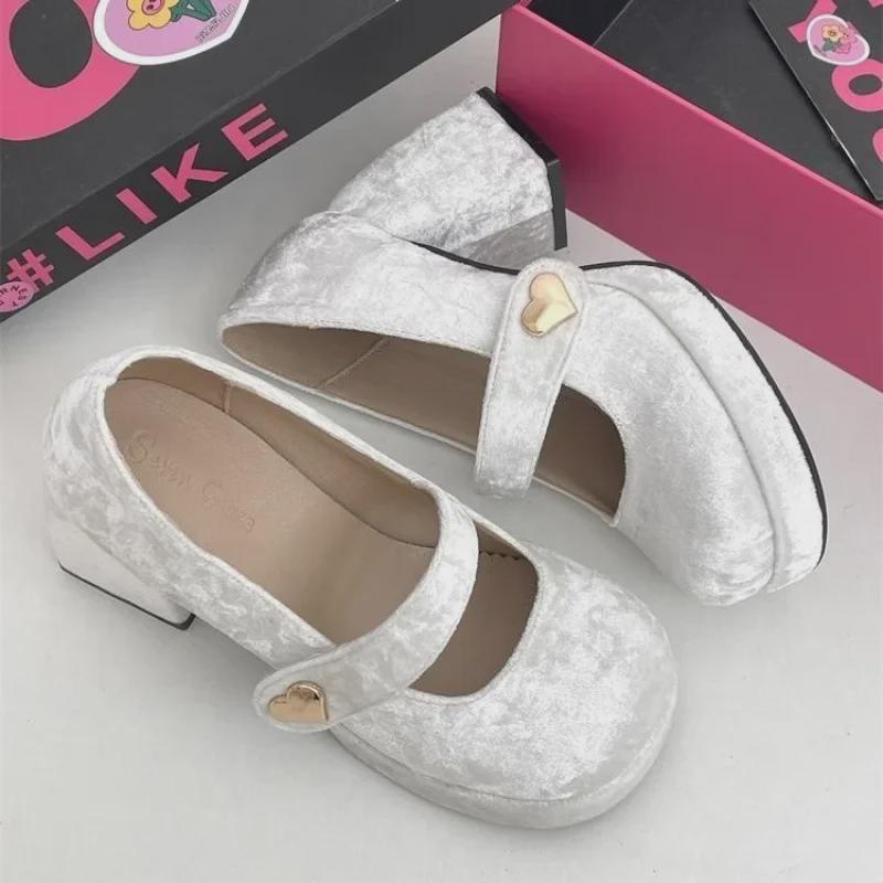 WD2025 Retro French-Style Thick-Heeled Mary Jane Leather Shoes for Women