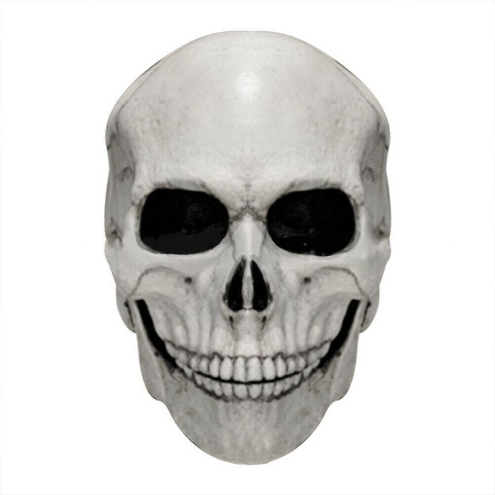 

Латексная маска с полной головой и черепом, шлем с подвижной челюстью, реквизит для Хэллоуина, головной убор B