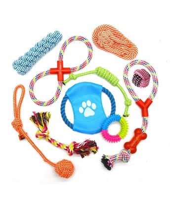 Conjunto de 10 Peças de Brinquedos para Cães PetGround, Durável, Adequado para Cães Pequenos, Médios e Grandes, Inclui Corda, Bola, Frisbee, Brinquedo para Dentição, Mordedor Educacional