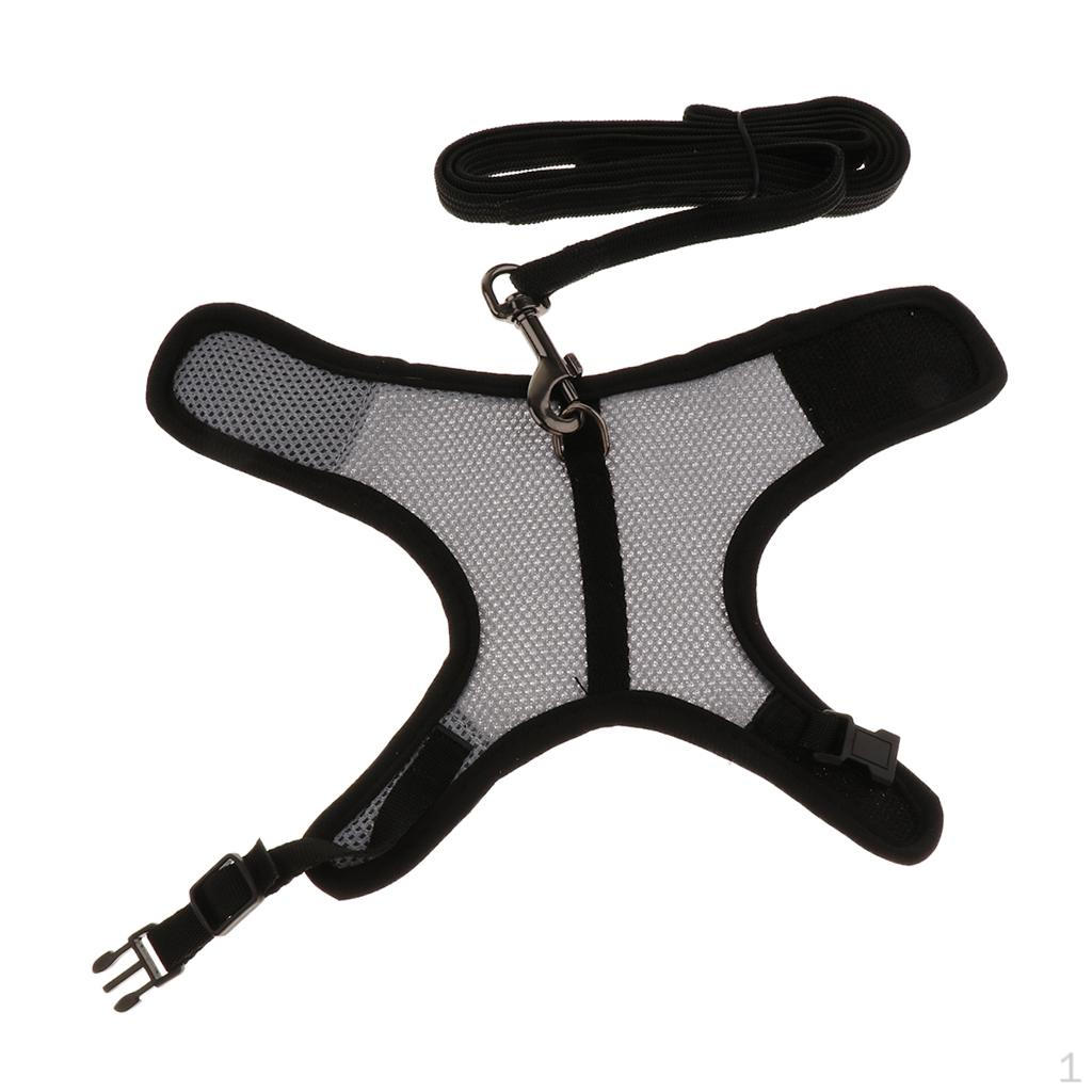 

Control Harness Walk Leash for Small Pet Hamster Rat Gray M