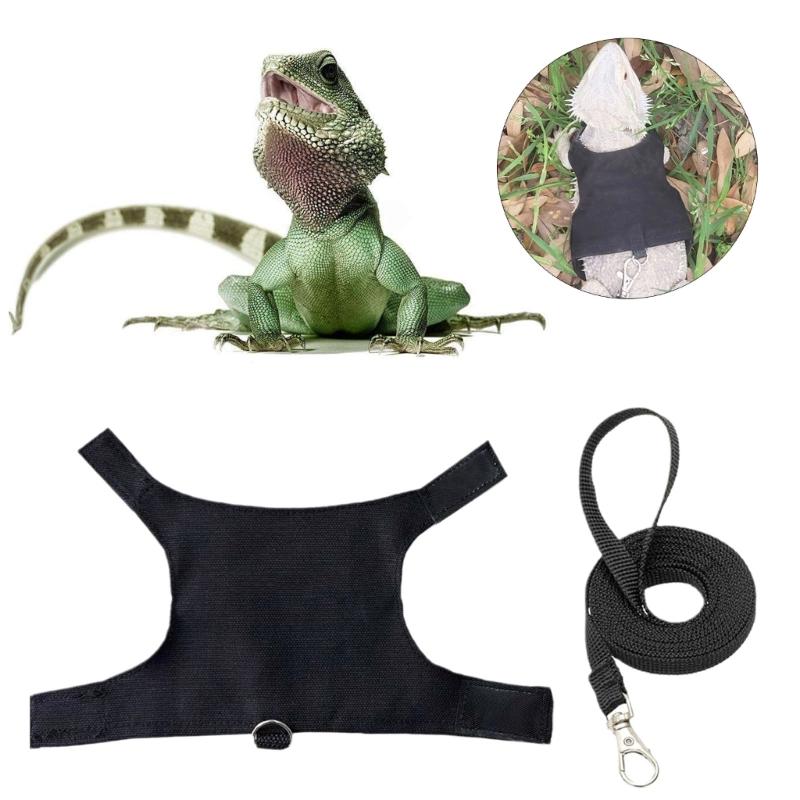 Adjust Size Size Lizards Chest Back Traction Rope Set Walking Lizards Harness Reliability Harness for Lizards Crawl Product