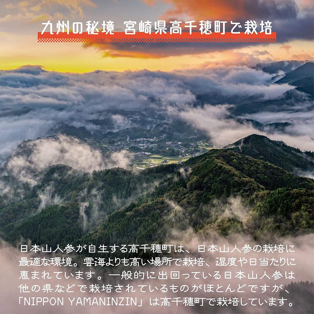 Japanischer Bergginseng aus Miyazaki Hyuga Toki Blattstiel 390 Körner x 1 Beutel [NIPPON YAMANINJIN] Takachiho, Präfektur, 100% Pulver,