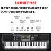 TOMOI Electronic Keyboard with App-Linked Illuminated Keys and Japanese Language Panel, 61 Keys, Japanese Text, Light Guide, Light Navigation, Battery