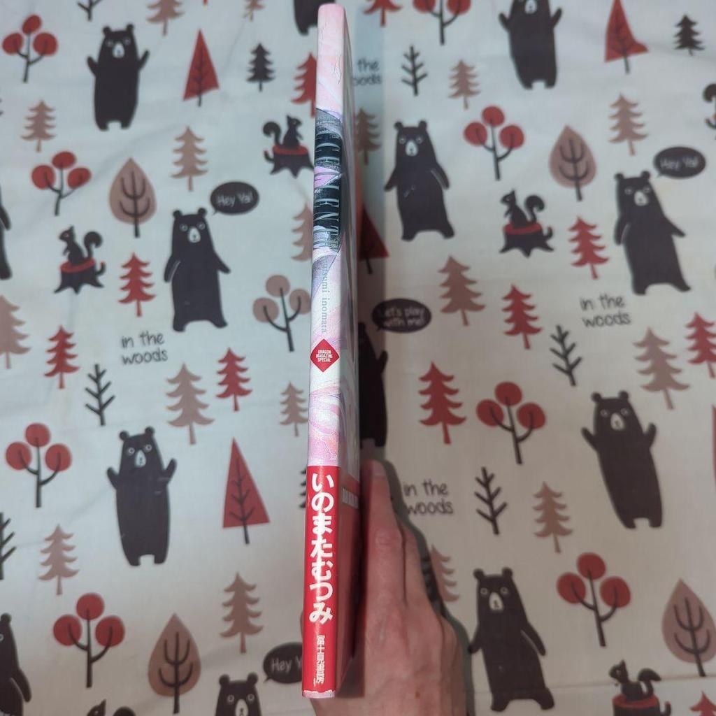 [USED] Mutsumi Inomata ECCELLENTE Art Collection First Edition with Obi