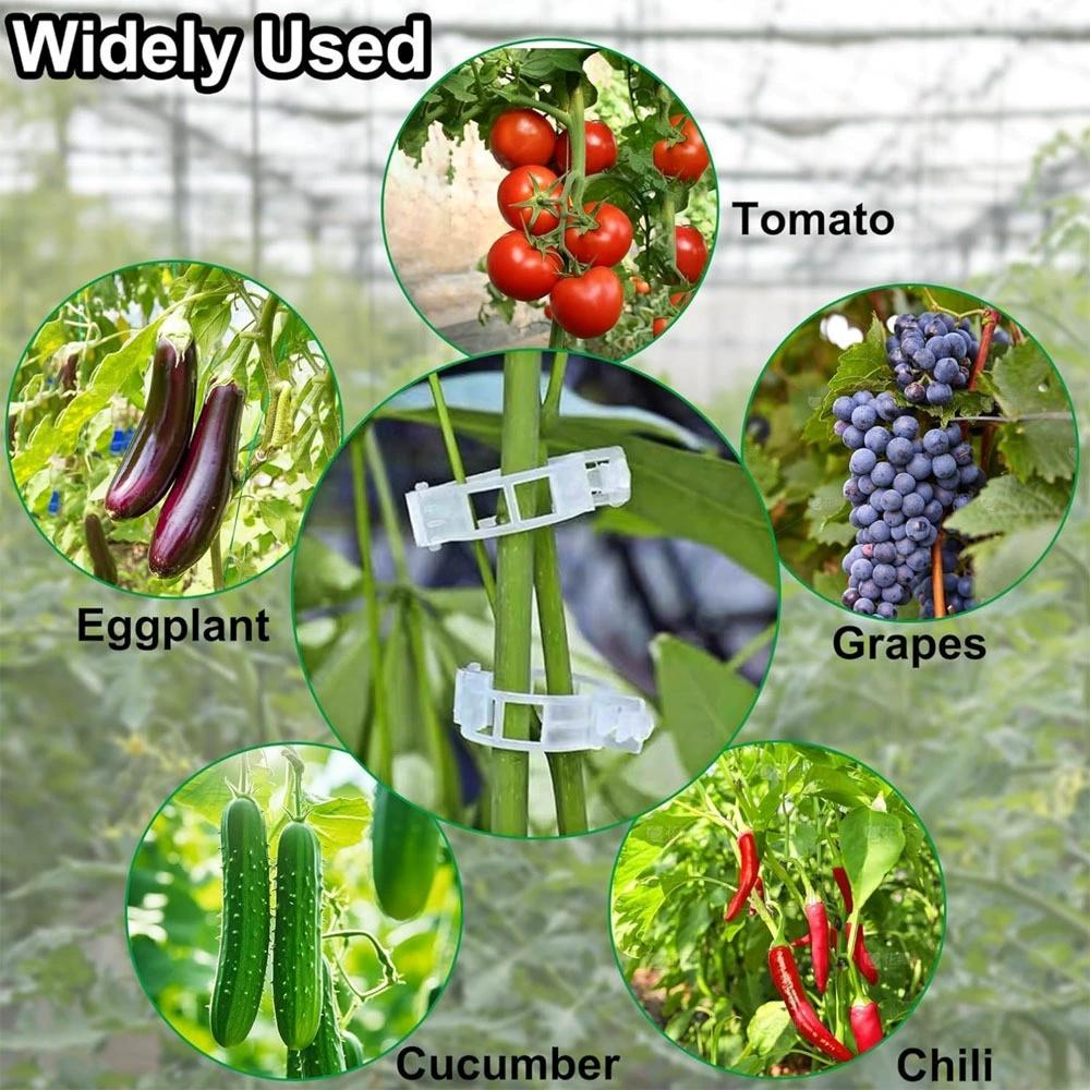 Plastic Plant Support Clips,Plastic Clips for Securing Plants,Tomato Vine Clips,Plant Fixing Clips,Garden Clips for Climbing