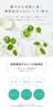 Of Shinnosuke CICA Sheet Masks Sheets X 6 Rice Moisturizing Cosmetics Made In Japan by OKOME No COSME Niigata Shinnosuke Rice Extract Skin