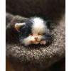 Feltro di Lana Poke Fatto a Mano Fai da Te Kit Materiale Ago di Lana Non Finito Gatto Volpe Procione Spilla Animale Bambola di Peluche Ciondolo Borsa da Donna